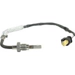 Sensor, Abgastemperatur 0894405