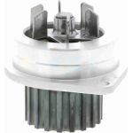 Vaico V22-50009 Wasserpumpe Vaico V22-50009 Wasserpumpe