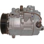 Kompressor, Klimaanlage ACP 1306 000S