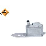 Ölkühler, Motoröl 31795 Ölkühler, Motoröl 31795