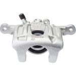 FTE 9298119 Bremssattel NEOGEN FTE 9298119 Bremssattel NEOGEN