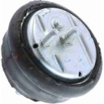 Vaico V20-1022 Lagerung, Motor