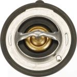 Thermostat, Kühlmittel TH71588G1
