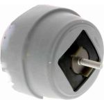 Vaico V10-2184 Lagerung, Motor