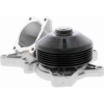 Vaico V20-50039 Wasserpumpe