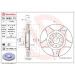 Bremsscheibe 09.8689.75