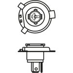 Glühlampe 1 987 302 104 Glühlampe 1 987 302 104