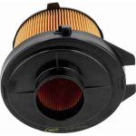 Vaico V42-0038 Luftfilter Vaico V42-0038 Luftfilter