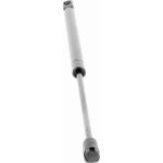 Gasfeder, Koffer-/Laderaum V10-2079