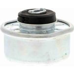 Vaico V10-1324 Lagerung, Motor