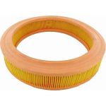 Vaico V25-0043 Luftfilter