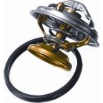 Thermostat, Kühlmittel 4176.85D