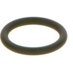 Dichtring F 00R J01 605 Dichtring F 00R J01 605