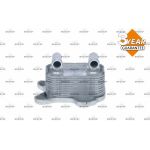 Ölkühler, Motoröl 31206 Ölkühler, Motoröl 31206