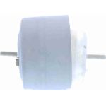 Vaico V10-8240 Lagerung, Motor