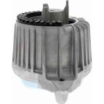 Vaico V30-7539 Lagerung, Motor Vaico V30-7539 Lagerung, Motor