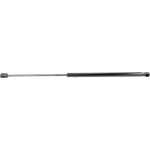 Gasfeder, Motorhaube V21-0032 Gasfeder, Motorhaube V21-0032