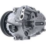 Kompressor, Klimaanlage ACP 1567 000P