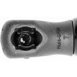 Gasfeder, Koffer-/Laderaum V20-0061