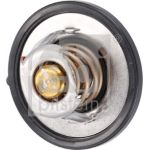 Thermostat, Kühlmittel 193096 Thermostat, Kühlmittel 193096