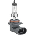 Glühlampe 8GH 005 636-121 Glühlampe 8GH 005 636-121