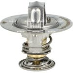 Thermostat, Kühlmittel 725060 Thermostat, Kühlmittel 725060