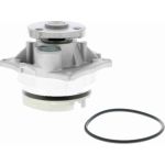 Vaico V25-50011 Wasserpumpe