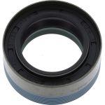 Dichtring 12016289B