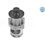 Wasserpumpe, Motorkühlung 313 011 2900 Wasserpumpe, Motorkühlung 313 011 2900