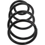 Fahrwerksfeder SP3834 Fahrwerksfeder SP3834