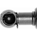Gasfeder, Koffer-/Laderaum V10-0243