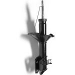 Stoßdämpfer G16480
