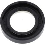Dichtring 01016893B