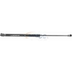 Gasfeder, Koffer-/Laderaum V24-0187