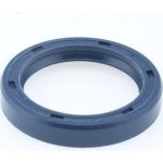 Dichtring 12011490B