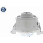 Vaico V30-0036 Lagerung, Motor Q+, Erstausrüsterqualität Vaico V30-0036 Lagerung, Motor Q+, Erstausrüsterqualität