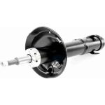 Vaico V10-1705 Stoßdämpfer Vaico V10-1705 Stoßdämpfer