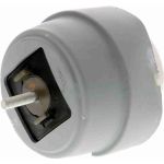 Vaico V10-2184 Lagerung, Motor