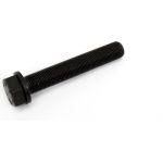 Riemenscheibe, Kurbelwelle DPF357.06K2