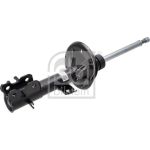 Stoßdämpfer 1002781
