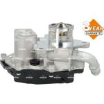 AGR-Ventil 48743 AGR-Ventil 48743