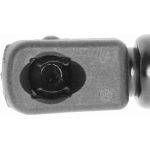 Vaico V24-0205 Gasfeder, Kofferraum/Laderaum