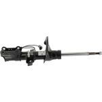Stoßdämpfer C2501S Stoßdämpfer C2501S