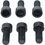 Schwungrad 2294 001 343