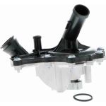 Vaico V22-50019 Wasserpumpe