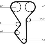 Zahnriemen CT955 Zahnriemen CT955