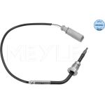 Sensor, Abgastemperatur 114 800 0119