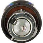 Spannrolle, Zahnriemen T43163 Spannrolle, Zahnriemen T43163
