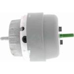 Vaico V10-1676 Lagerung, Motor Vaico V10-1676 Lagerung, Motor