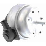 Vaico V10-1278 Lagerung, Motor Vaico V10-1278 Lagerung, Motor